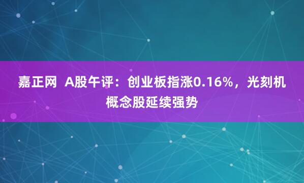 嘉正网  A股午评：创业板指涨0.16%，光刻机概念股延续强势