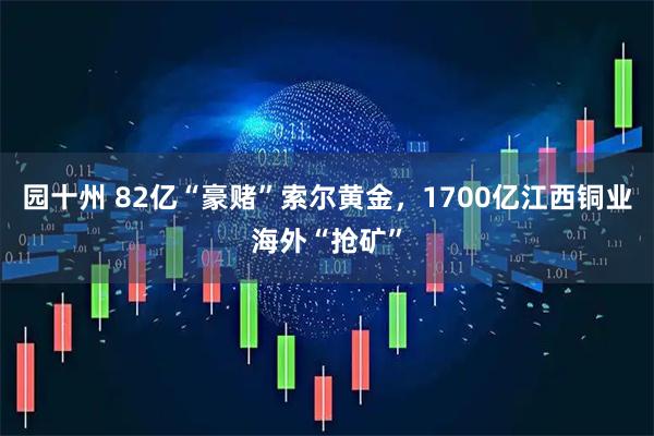 园十州 82亿“豪赌”索尔黄金，1700亿江西铜业海外“抢矿”