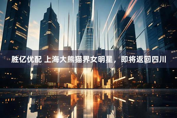 胜亿优配 上海大熊猫界女明星，即将返回四川