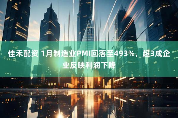 佳禾配资 1月制造业PMI回落至493%，超3成企业反映利润下降