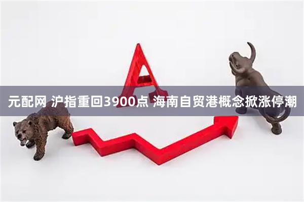 元配网 沪指重回3900点 海南自贸港概念掀涨停潮